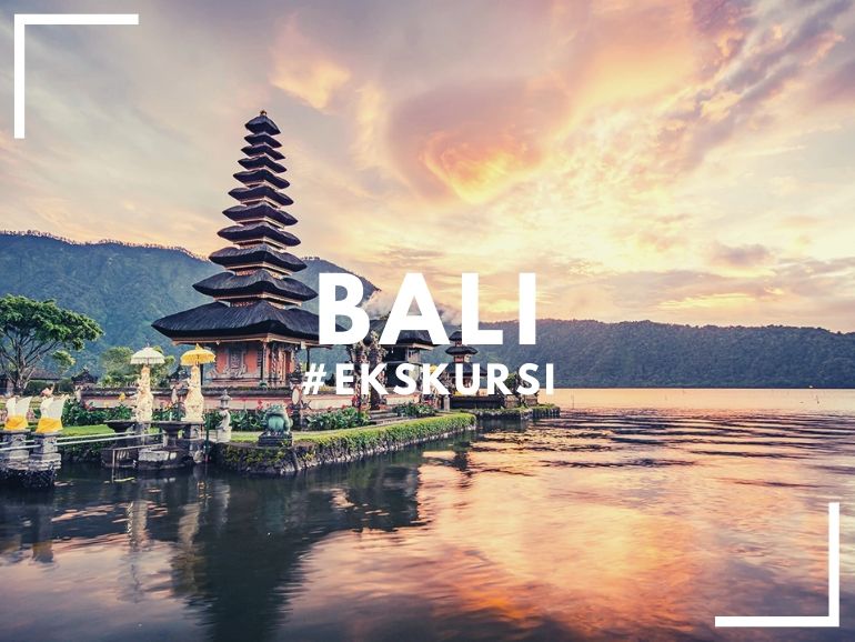 Bali Ekskursi